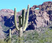 Hole in Wall, Organ Pipes Monument